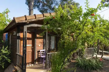 Koala Bungalow - 59