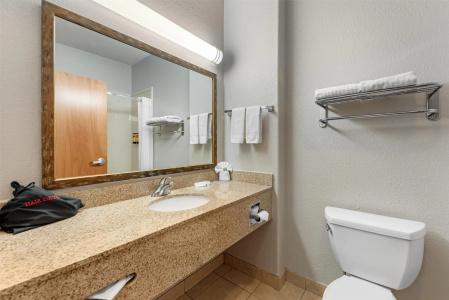 Best Western Plus San Antonio East Inn & Suites - 50