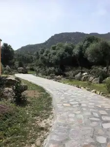 B&B Su Donnigheddu - 7