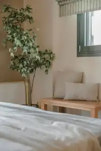 Daluz Boutique - 221
