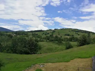 Guesthouse Blazenka Hodak - 10