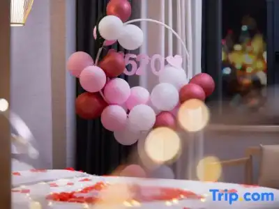 Hôtel Ibis Toulouse Purpan - 65