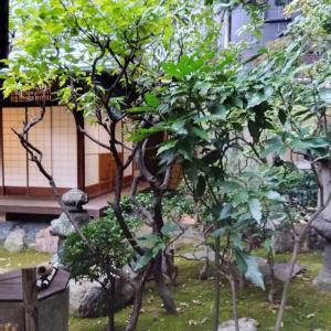 Ryokan Nissho-besso - 40