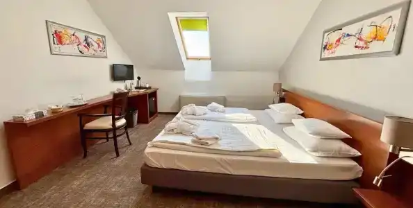 Zenit Wellness Balaton - 12