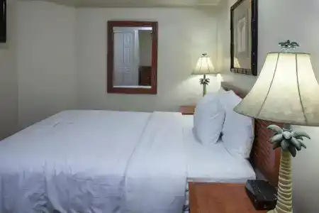 Royal Floridian Resort - 74