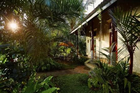 Eraeliya Villas & Gardens - 196