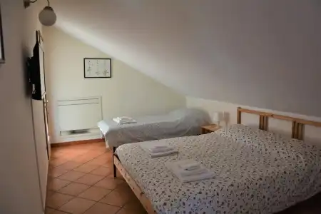 Betulla dell'Etna - 3