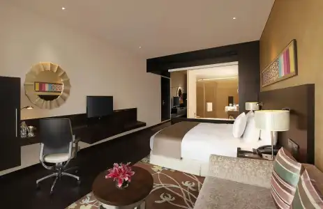 Hilton Jaipur - 5