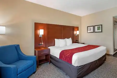 Comfort Suites Fredericksburg North - 54