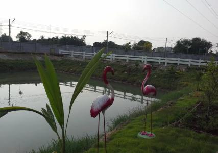 Tokyo Country Inn - 11
