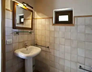 Podere il Pino - 166