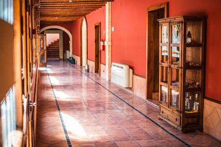 Alegria Bodega Real - 14