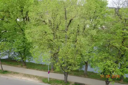 Stadt Tuttlingen - 18