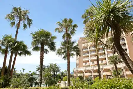 Résidence la Palme d'Azur Cannes Verrerie - 45