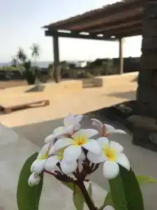 I Dammusini di Pantelleria - 108