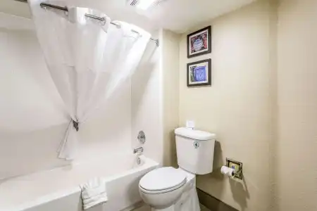 Comfort Inn & Suites Albuquerque Downtown - 7