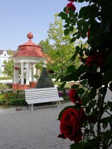 Spa Resort Libverda - Nový Dům - 30