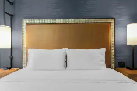 Hampton Inn & Suites Austin Downtown - 67
