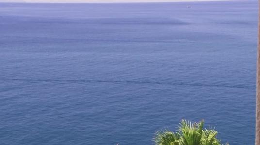 The Cliff Bay, by PortoBay - 21