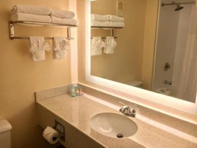 B&B Orlando International Drive Near Universal - Newly Renovated! - 154
