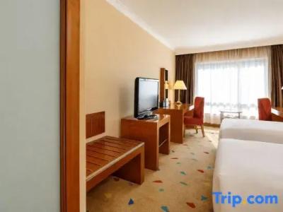 Grand Skylight Royal - 49