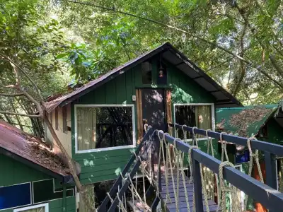 Khao Sok Tree House - 23