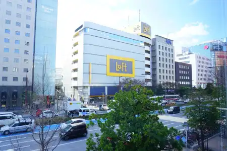 Casvi Tenjin - 15