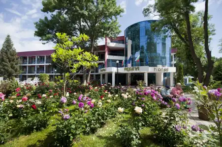 Regina - 12