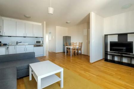Business & Family Ambiente Apartments - 100