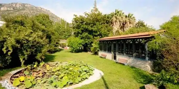 La Gallina Felice B&B - 2