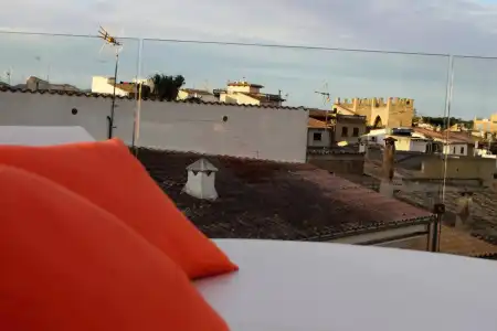 Alcudia Petit - Turismo de Interior - 19