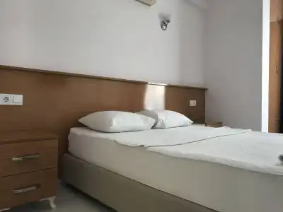 Cam - 1