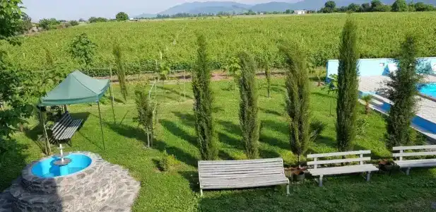 Shaloshvili's Cellar - 12