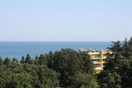 Perunika - 45