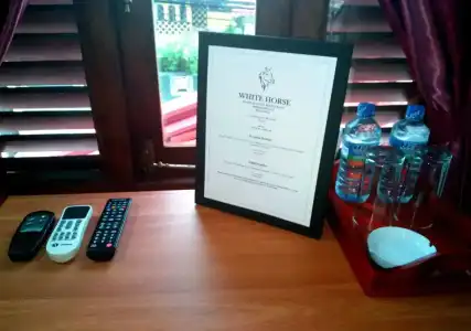 White Horse Guest House - 5
