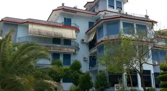 The Palm - 0