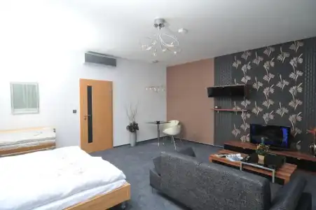 Pension Milk Inn - 28