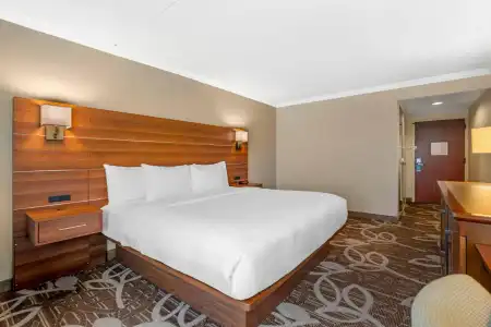 Comfort Inn Anaheim Resort - 44