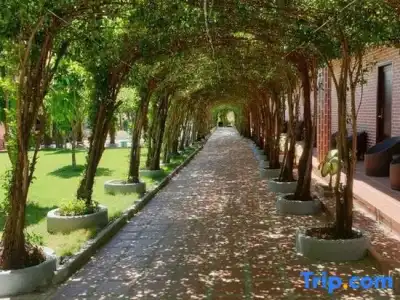 Le Garden Resort & Spa Phu Quoc - 59