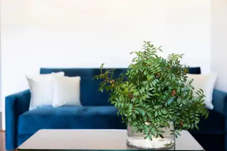 Heritage Tisno - 108