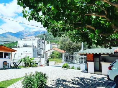 Yard Paradise - 11