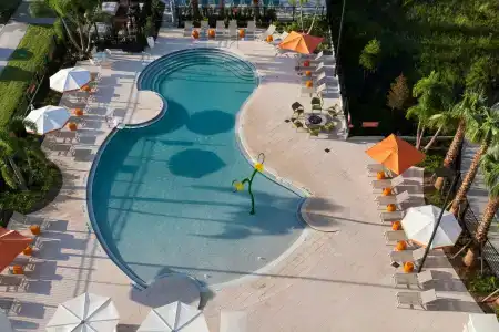 TownePlace Suites by Marriott Orlando at SeaWorld - 15