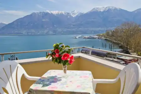 Rondinella Locarno - 47