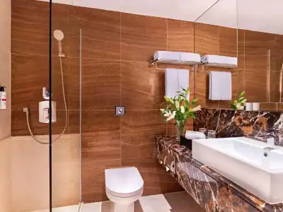 Pullman Singapore Orchard - 62