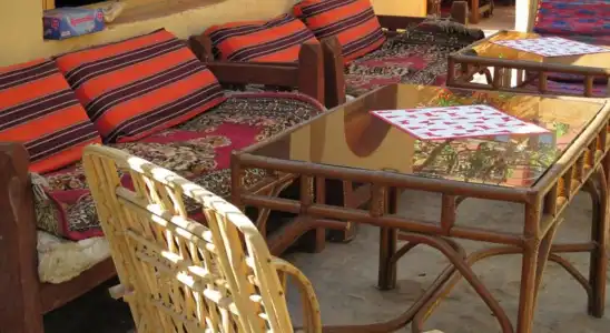 Nile Compound - 19