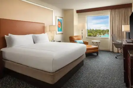 Hilton Orlando - 36
