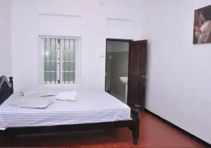 Galle Star - 3