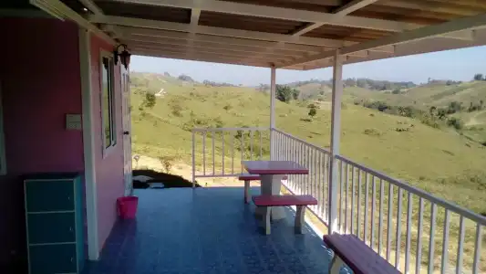 Lovely Farm - 19