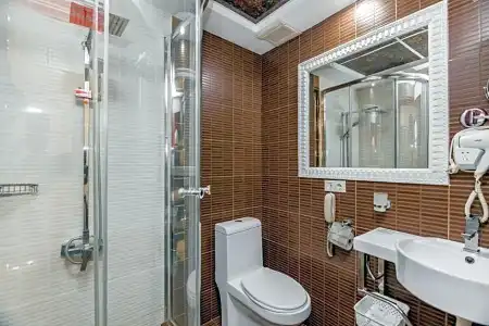 Borjomi Palace Health & Spa Center - 37