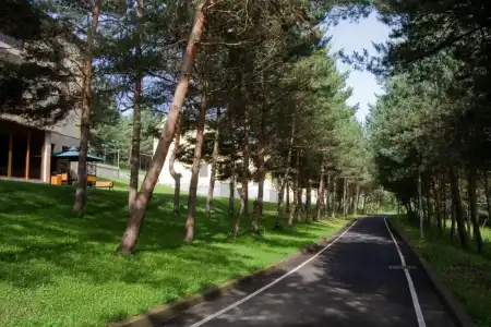 Dilijan Resort - 19